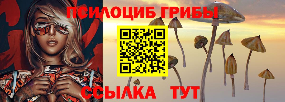 Кимры  Псилоцибиновые грибы мухоморы  Вход с VPN 
